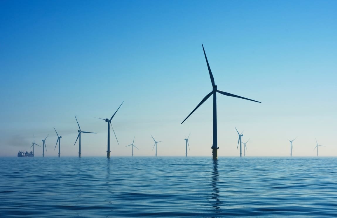 Offshore windfarms – A threat for electro-sensitive sharks?