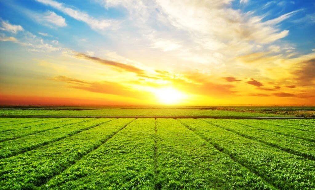 Image: Sunny meadow landscape (s. climate, ozone layer, emissions)