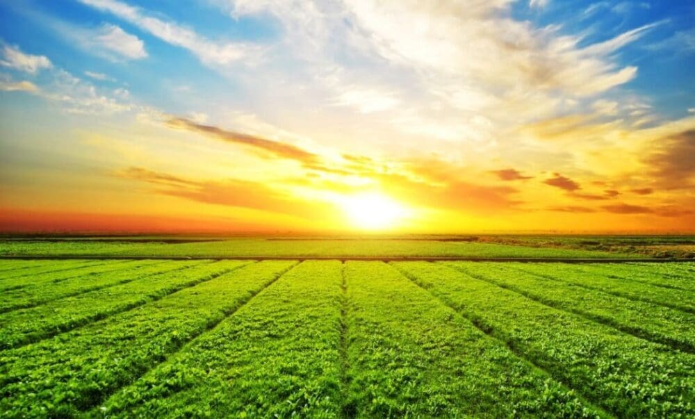 Image: Sunny meadow landscape (s. climate, ozone layer, emissions)