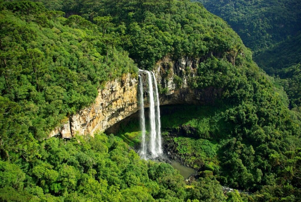 Image: aerial photography of waterfalls surrounded with forest