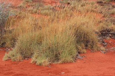 27779610855 9bffa56c09 w