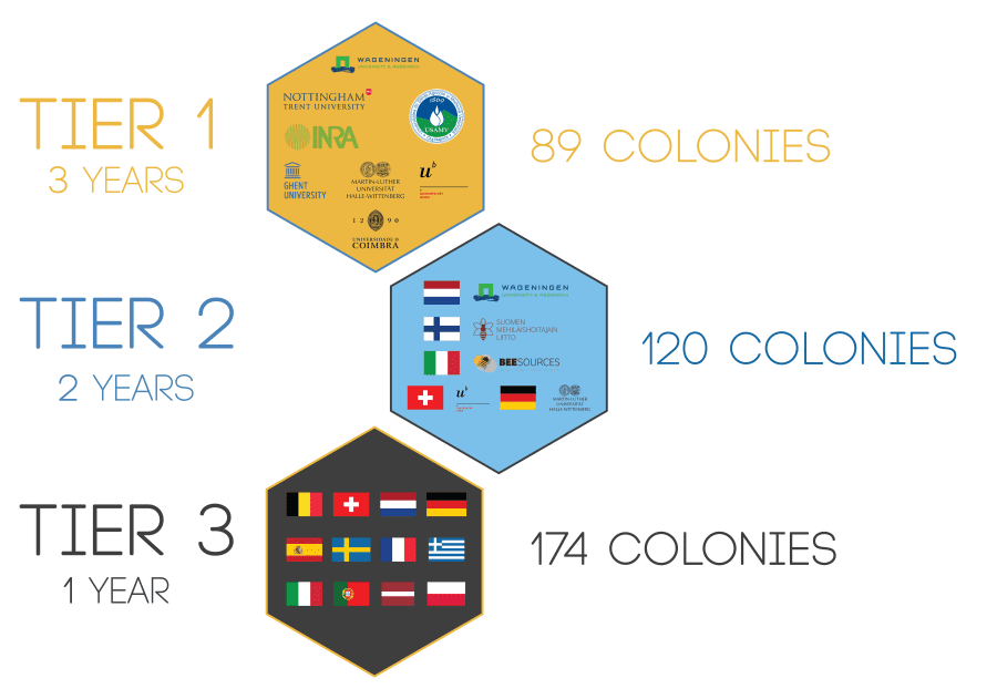 B GOOD 3 Tiered Approach res