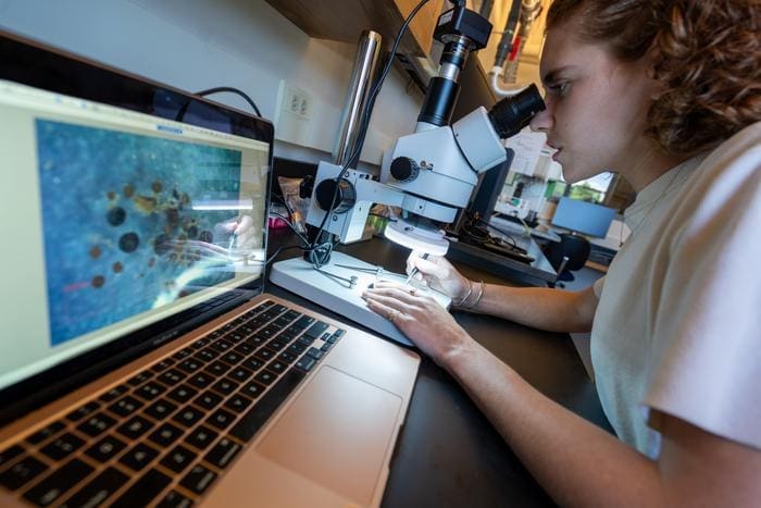 Halley Mastro G24 in Bierman Lab