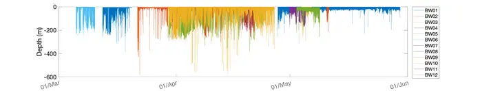 Long-distance relationship revealed in the seemingly random behavior of bowhead whales P2417 Fig3