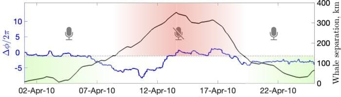 Long-distance relationship revealed in the seemingly random behavior of bowhead whales P2417 Fig4