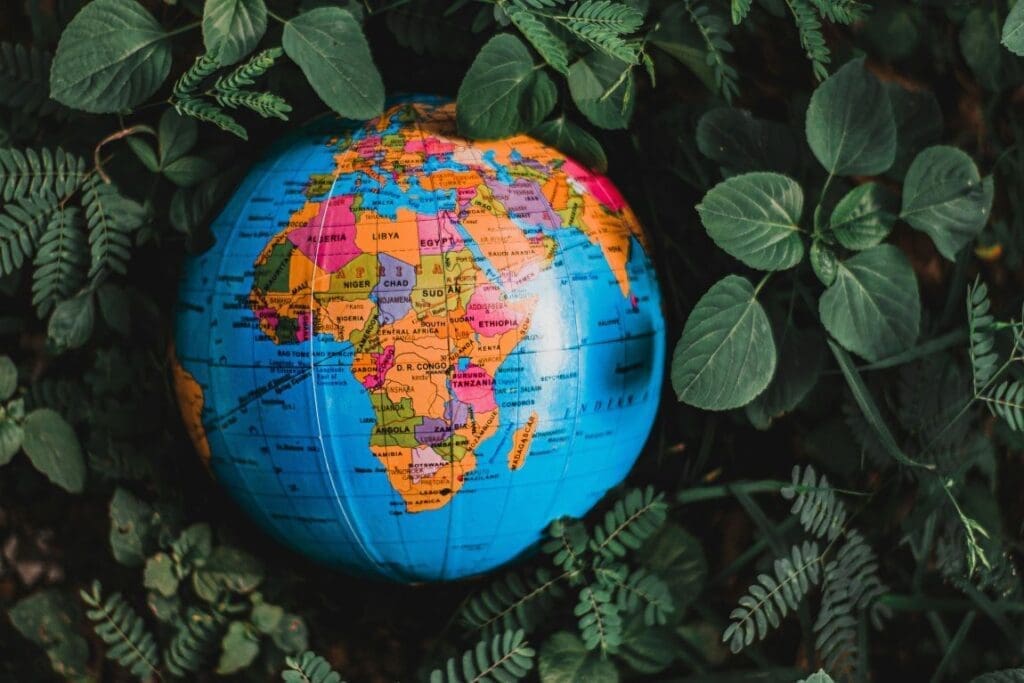 Globe in green leaves (s. carbon storage)