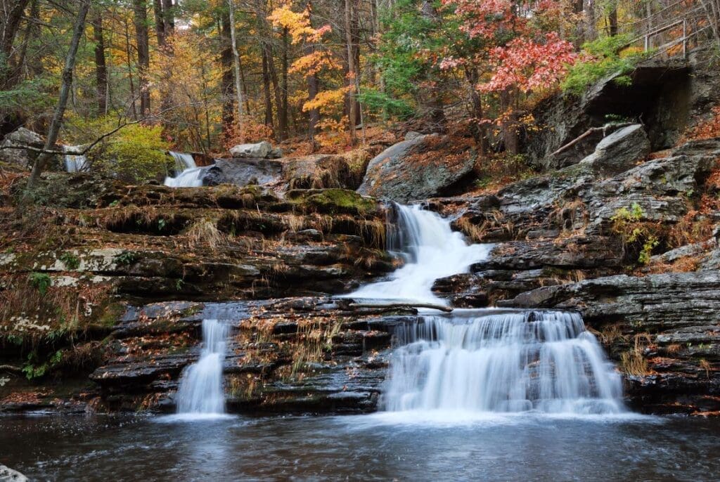 Warming waters and pollution threaten freshwater ecosystems, new study finds autumn waterfall mountain with foliage res
