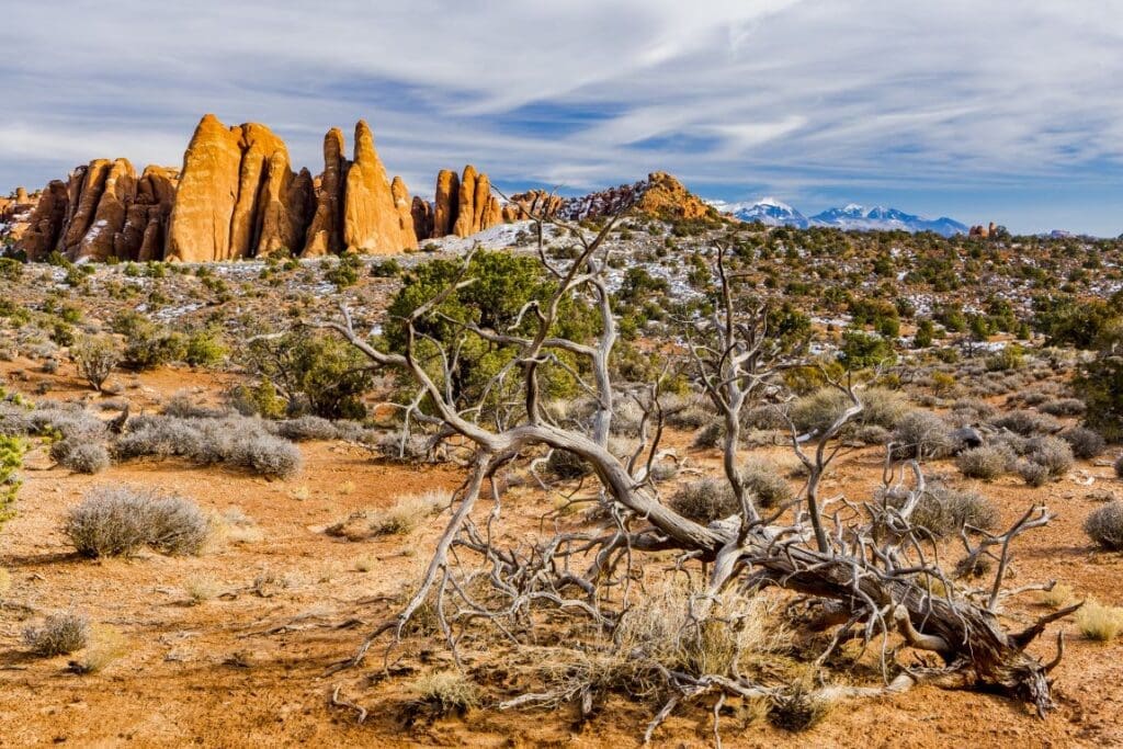 Warming increases ecosystem carbon emissions – but only with sufficient rain beautiful landscape shot arches national park utah res