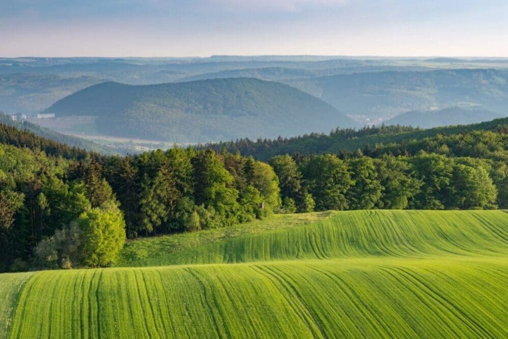 Image: green fields on hills surrounded by a green forest (s. nature)