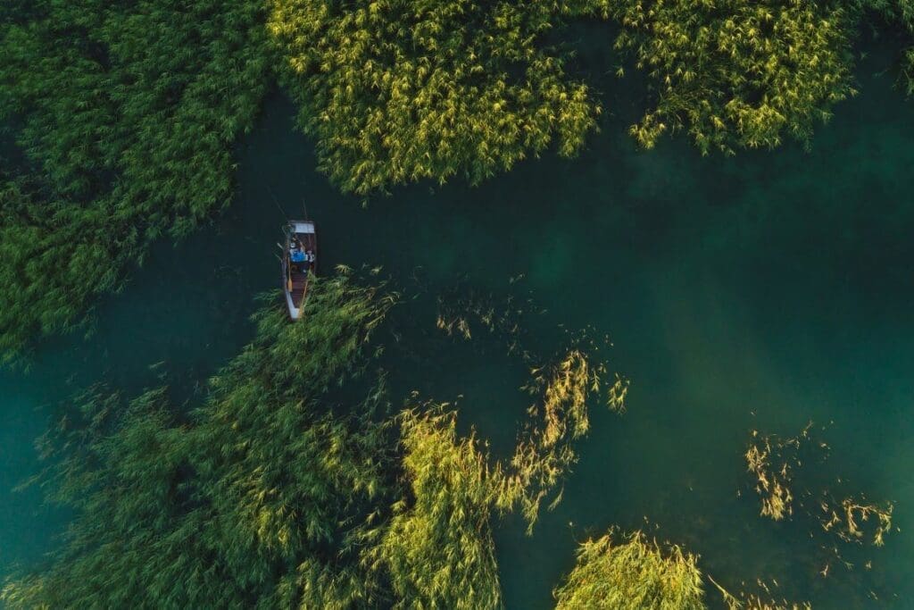 Non-biting midges help us understand how to protect Lake Balaton bence boros 4E 20IpEqeI unsplash res