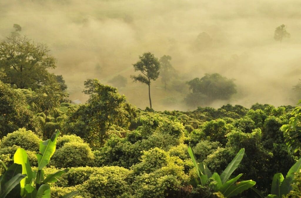 Rising mercury levels in soil could be linked to climate change, study suggests boudewijn huysmans GMjKxyV9oSo res