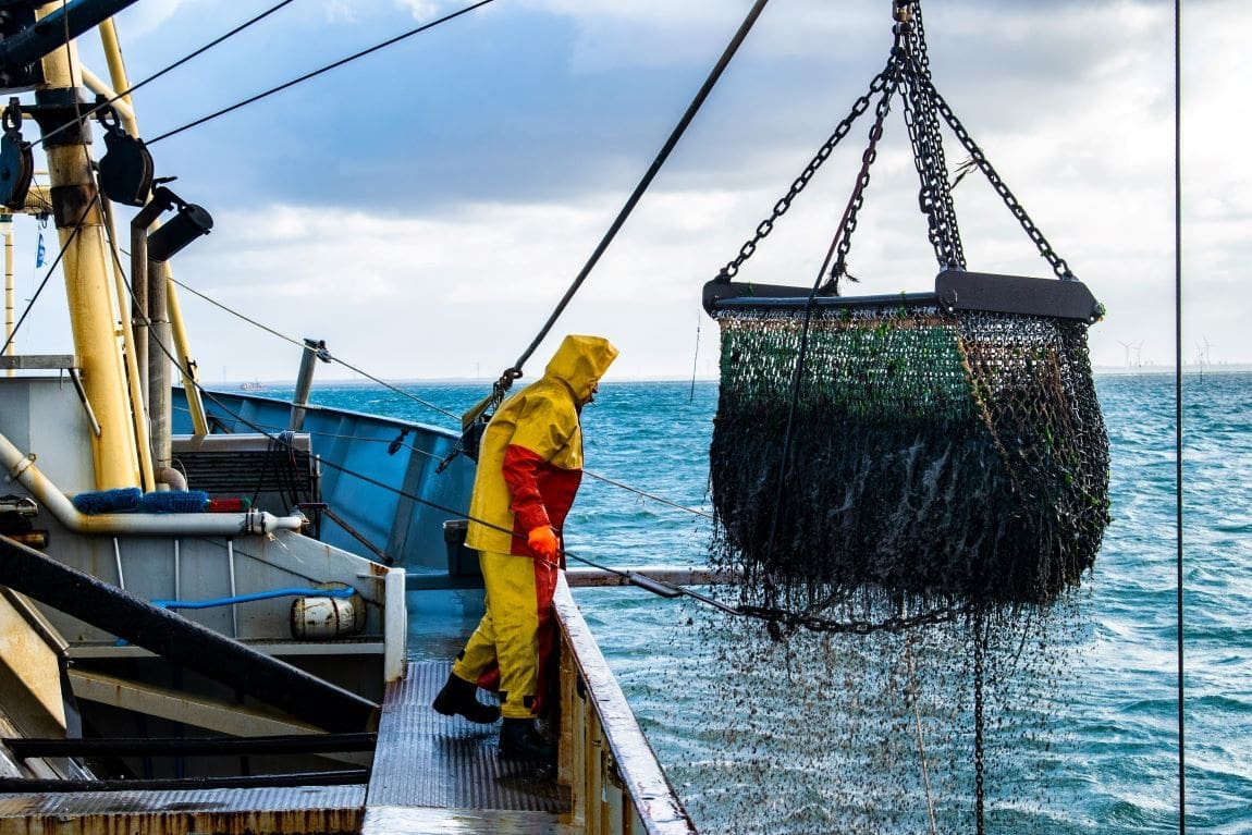 New fisheries technologies deepen gender inequality