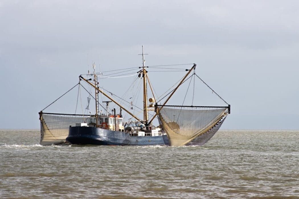 Image: Fishermen, Boat, Sea image, trawling