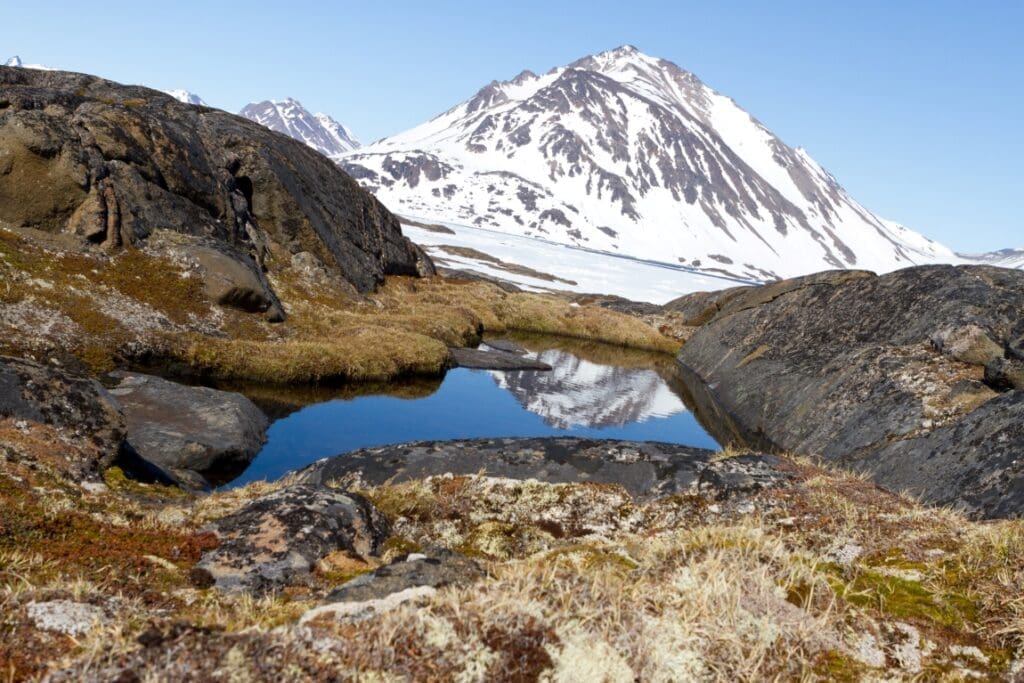 Greenland fossil discovery reveals increased risk of sea-level catastrophe A rocky landscape with tundra plants near the eastern coast of Greenland, similiar to what the interior of the island may have looked like when its massive ice sheet melted away