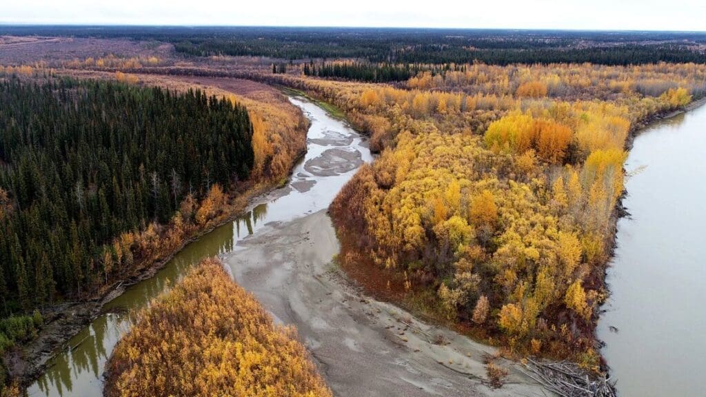 "Mercury bomb" threatens millions as Arctic temperatures soar A 2022 drone image of the Yukon River and its floodplain downstream from Beaver, Alaska, shows accumulations of sediments, which harbor the toxic metal mercury