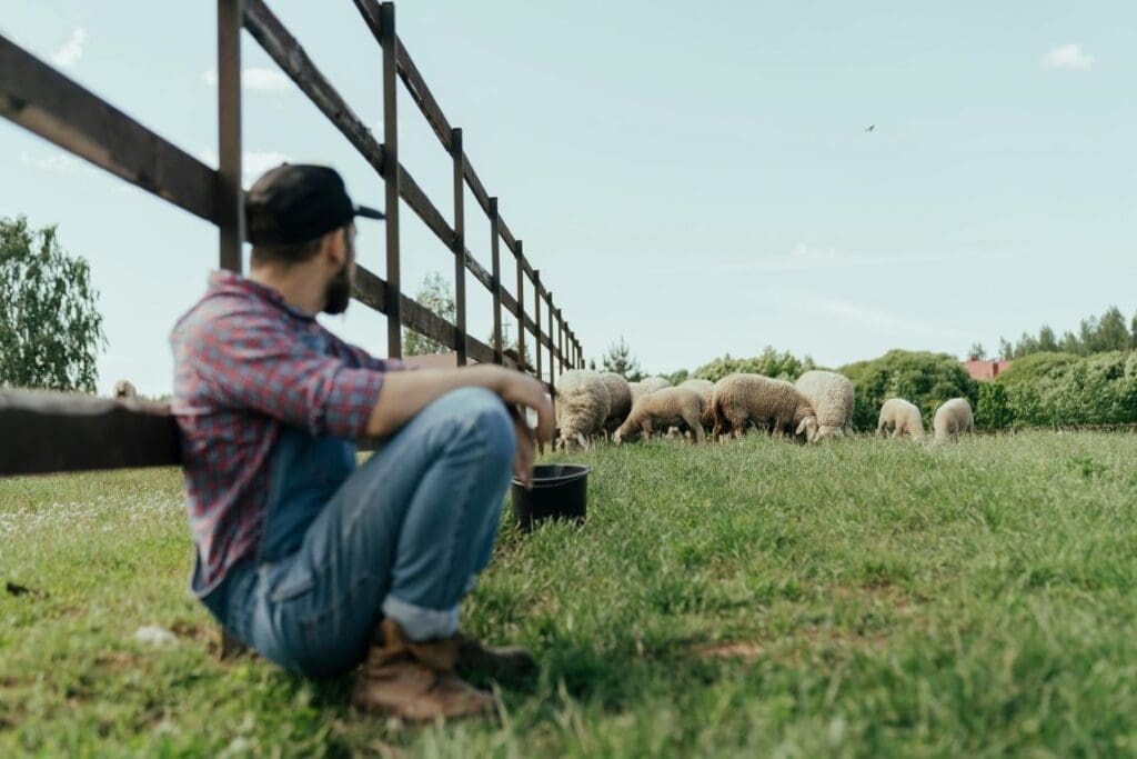 Image: Man in Blue Denim Jeans Sitting (s. farmer, climate change)