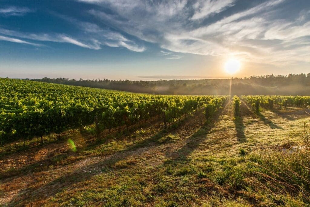 On a mission to save our soils Image