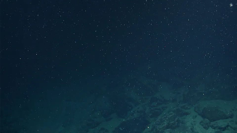 What’s the weather like in the deep sea? Image: Marine Snow