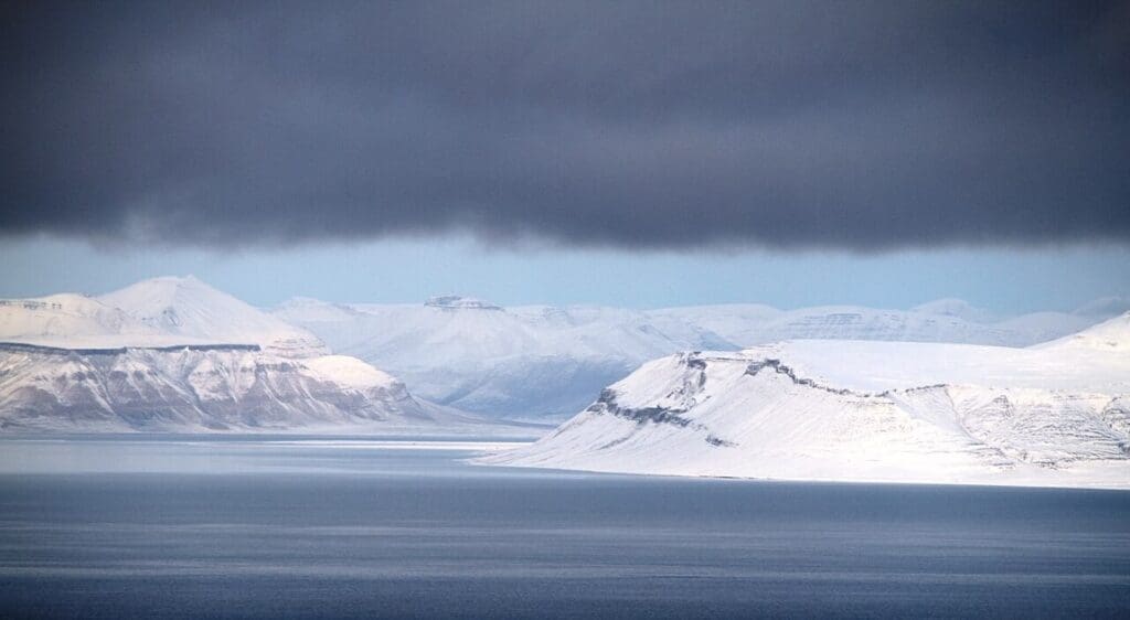 Dicksonfjorden muser res