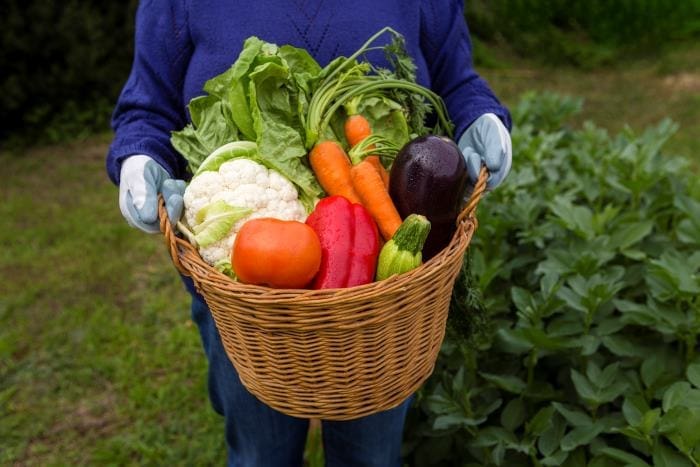 European Green Deal: a global emissions paradox basket vegetables res