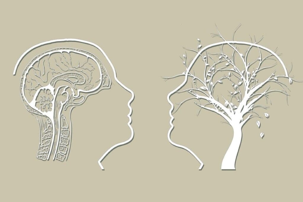 Image: Dementia / Alzheimer illustration