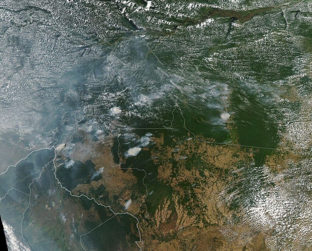 Satellite Image: Fires in Brazil