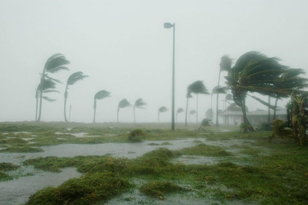 Image: Key west, Florida, Hurricane Dennis