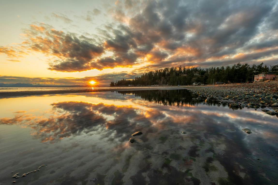 Image: Body of Water Near Green Trees during Sunset