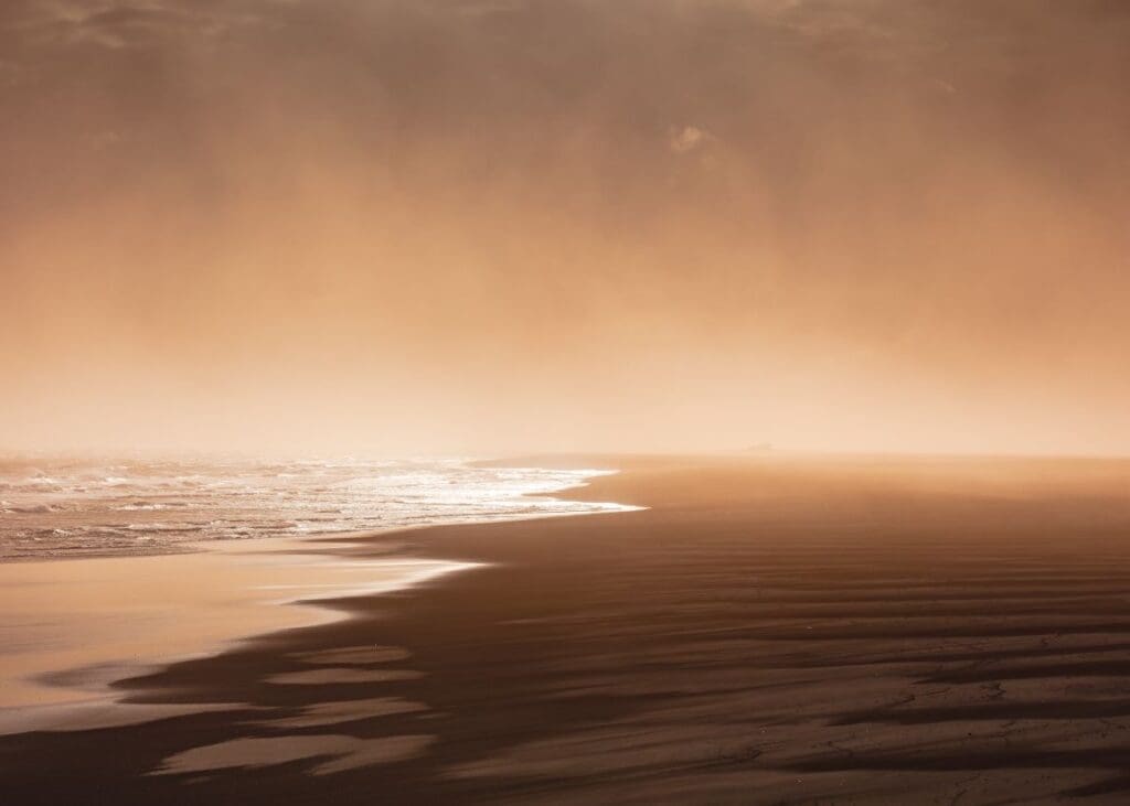 Saharan winds nurture oceanic life across continents shot sand muser res