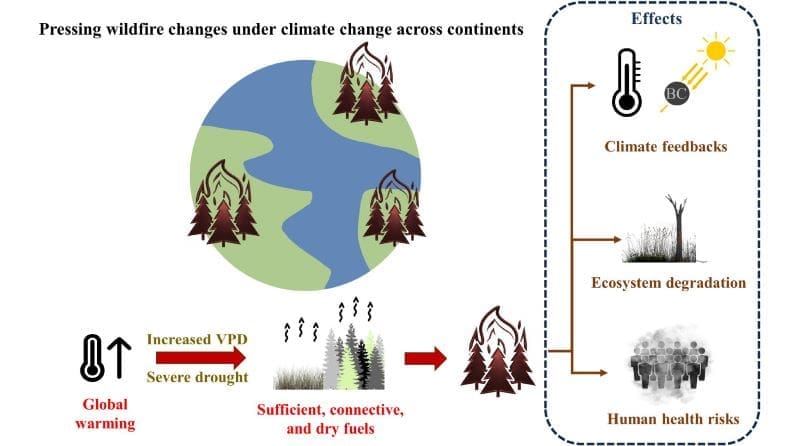 study wildlife muser res