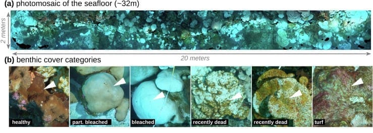 DOI 10.1016 j.scitotenv.2024.175210 res