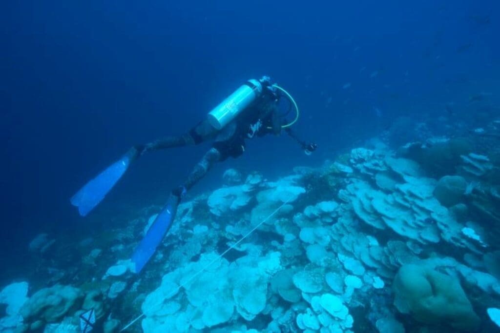 Deep-water reefs in the Eastern Tropical Pacific face severe cold-water bleaching and mortality Foreman and Duprey 2024 Mark Rohr res
