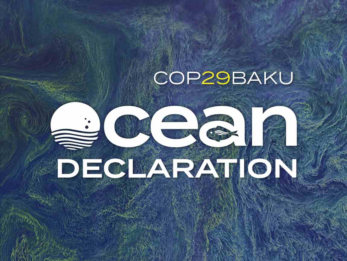 OceanPavilionDeclaration res
