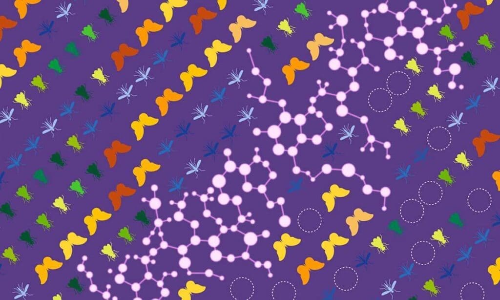 Agrochemicals and rising temperatures found to intensify insect population decline Image: An illustration uses a variety of colors to signify the original diversity in fly, mosquito, and butterfly populations