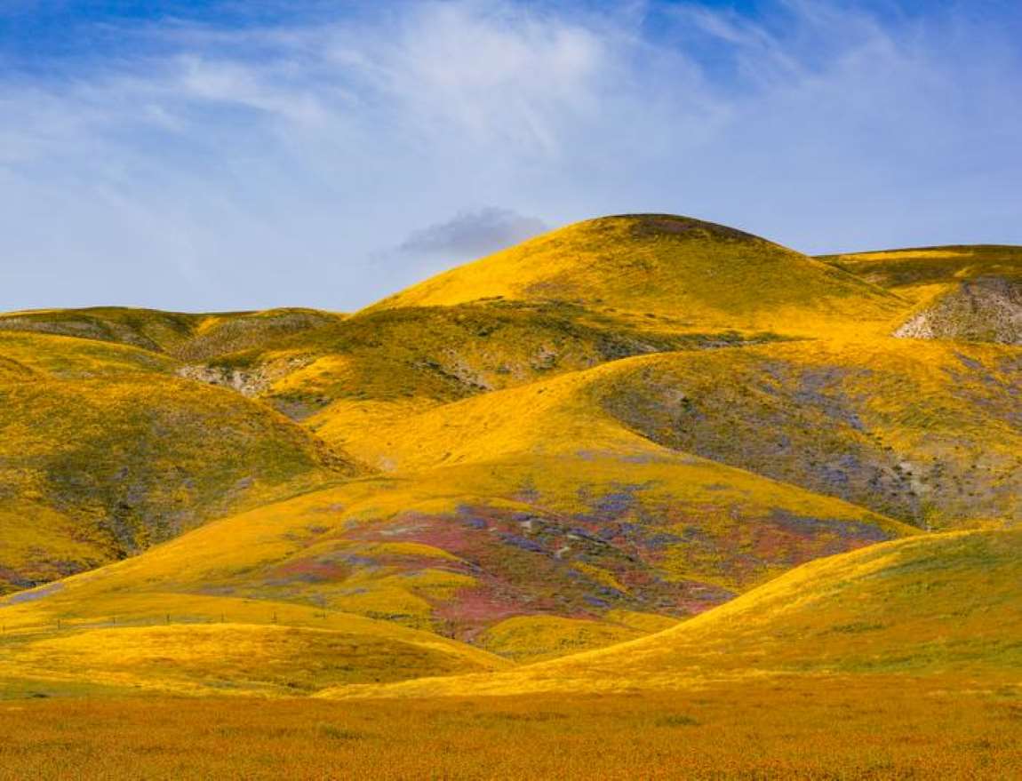 Grasslands respond rapidly to climate change