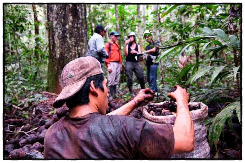 The Pan-Amazon Network for Bioeconomy launched to protect forests and local communities Image: People in a forest