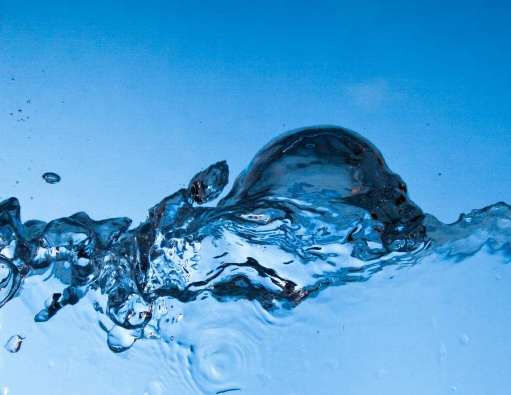 Zooplankton fail to clean faeces-contaminated water, study finds Image: Water in motion