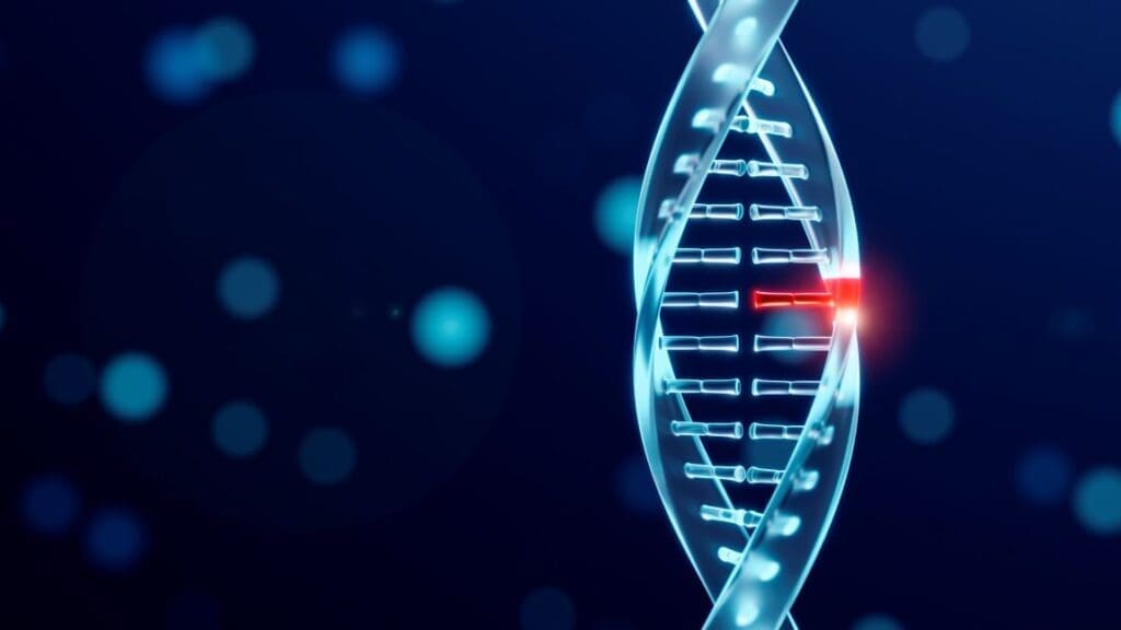 Plastic chemical causes DNA breakage and chromosome defects in sex cells Image: DNA representation concept
