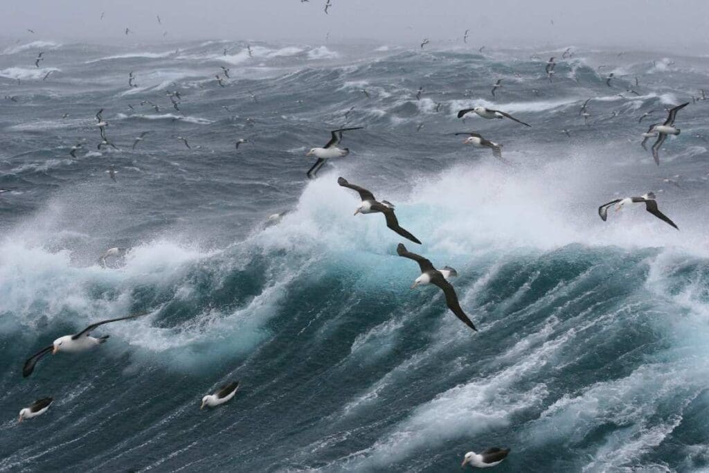 Image: Ocean waves