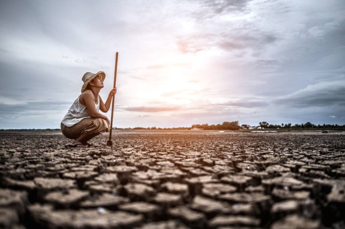 Image: The woman sat his hand and caught a Siem on dry soil and looked at the sky (s. inequality, climate change)