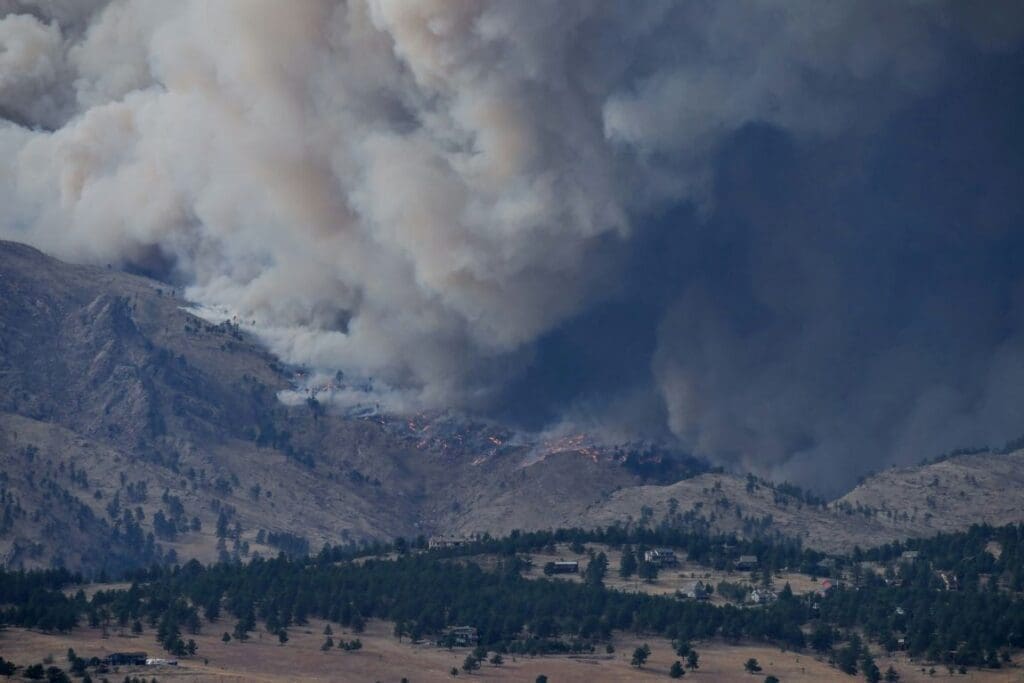 Global CO2 emissions from forest fires surge by 60%, warn scientists malachi brooks muser res