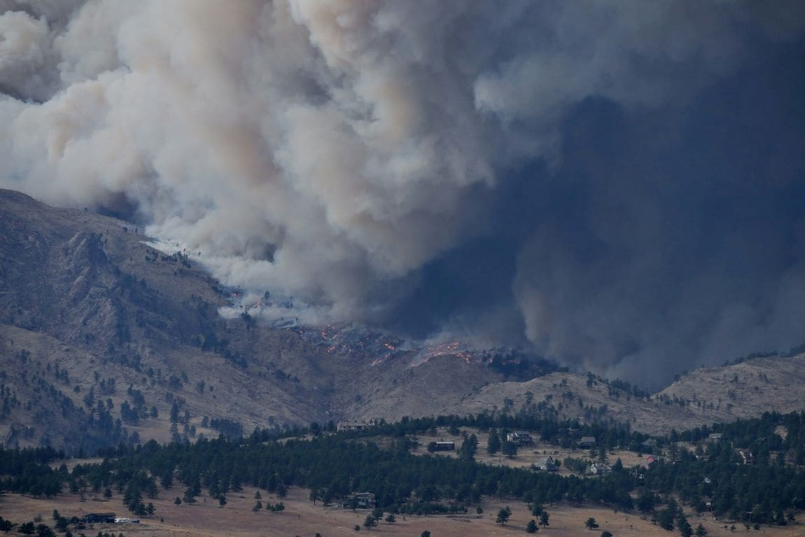 Global CO2 emissions from forest fires surge by 60%, warn scientists