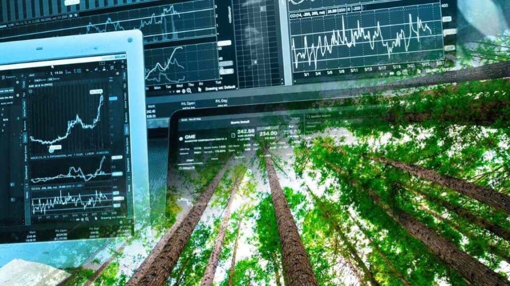 Image: Nature, Markets, Collage