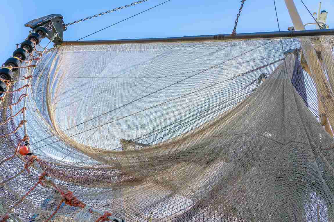 Image: Fish Net Used for Commercial Fishing
