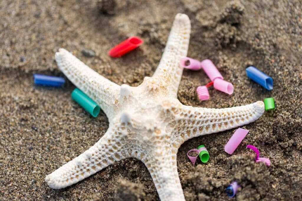 Climate and ecotoxicity risks of biodegradable microplastics Image: Starfish with plastic pieces