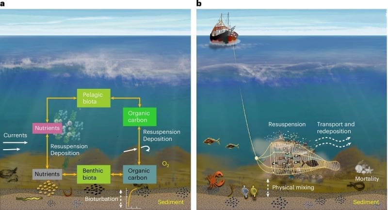 trawling nordics res