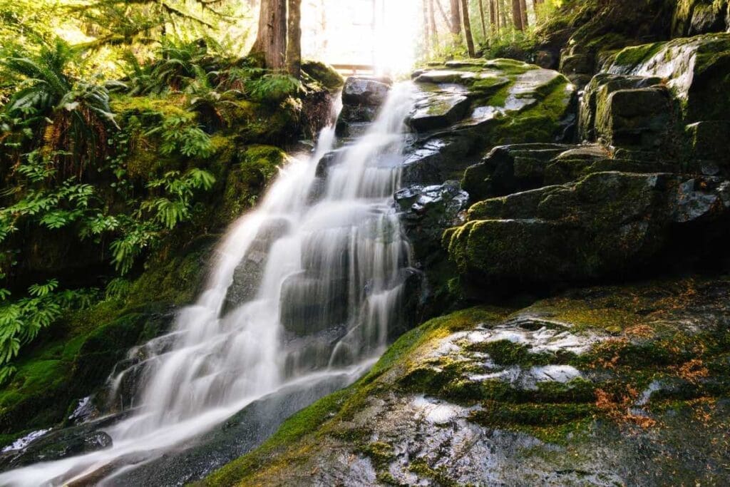 Global water resources at risk: WMO report warns of increasing hydrological instability waterfall forest muser res