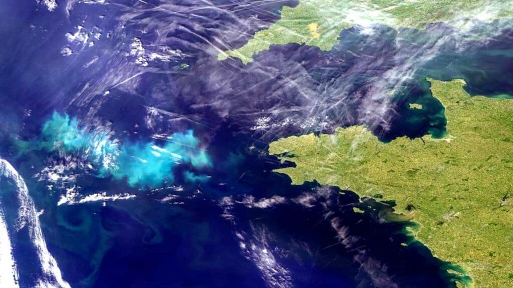 Lisbon event offers a deep dive into ocean data Blooms France EUMETSTAT res