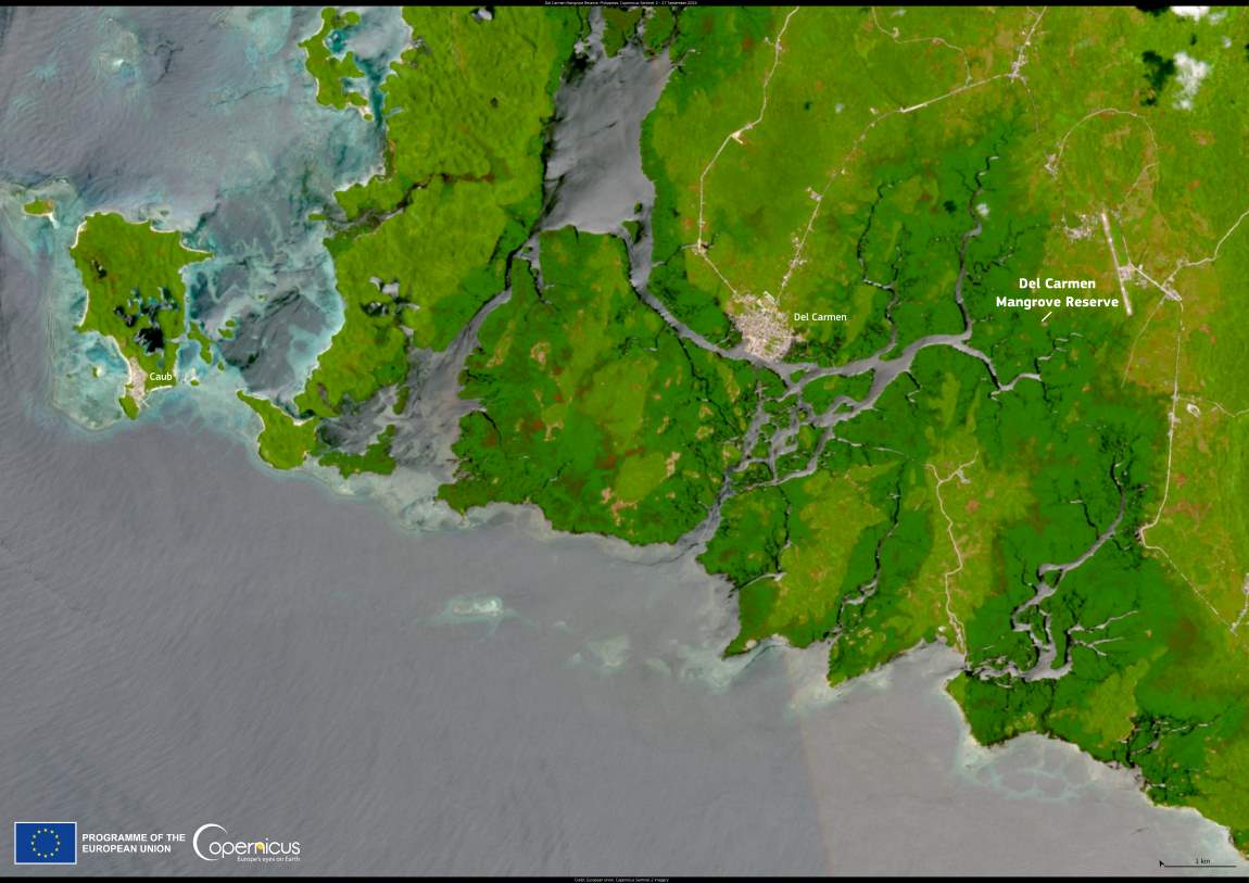 Image of the day: The Del Carmen Mangrove Reserve, a recently designated Ramsar Site