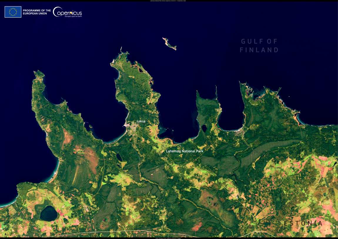 Satellite Image: Estonia